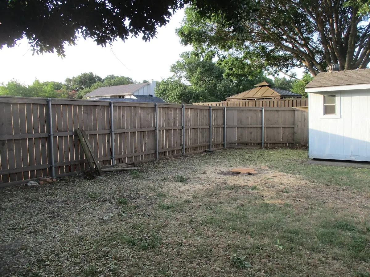 Cleared yard after professional tree removal in Ralston