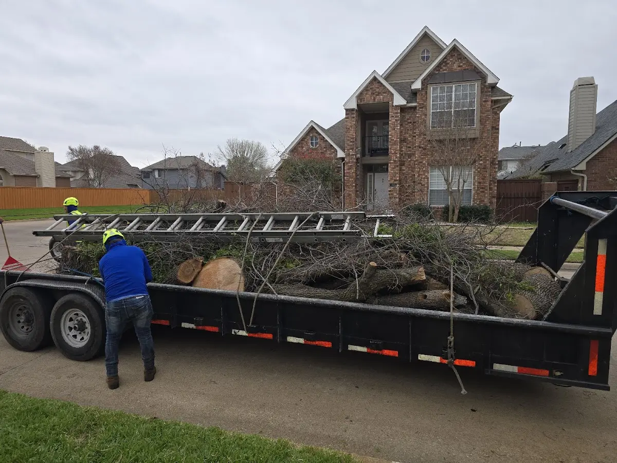 Expert Tree Fertilization with proper safety equipment in Ralston